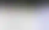 Blurred archive preview