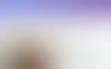 Blurred archive preview