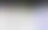 Blurred archive preview