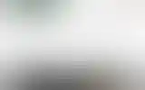 Blurred archive preview