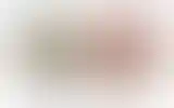 Blurred archive preview