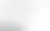 Blurred archive preview