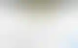 Blurred archive preview