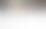 Blurred archive preview