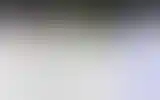 Blurred archive preview