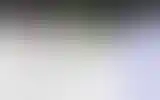 Blurred archive preview