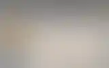 Blurred archive preview