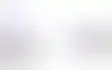 Blurred archive preview