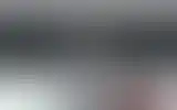 Blurred archive preview