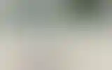 Blurred archive preview
