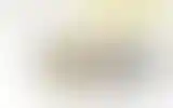 Blurred archive preview
