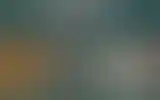 Blurred archive preview