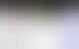 Blurred archive preview