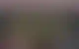 Blurred archive preview