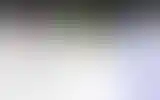 Blurred archive preview