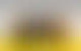 Blurred archive preview
