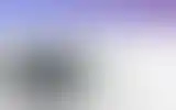 Blurred archive preview