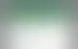 Blurred archive preview