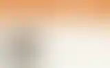 Blurred archive preview