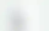 Blurred archive preview