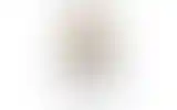 Blurred archive preview