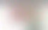 Blurred archive preview