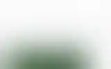 Blurred archive preview