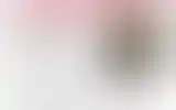 Blurred archive preview
