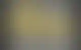 Blurred archive preview