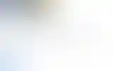 Blurred archive preview