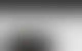 Blurred archive preview