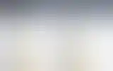 Blurred archive preview