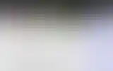 Blurred archive preview
