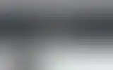 Blurred archive preview