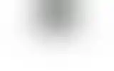 Blurred archive preview