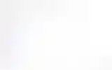 Blurred archive preview