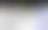 Blurred archive preview
