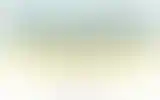 Blurred archive preview