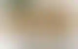 Blurred archive preview