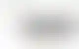 Blurred archive preview