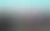 Blurred archive preview