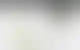 Blurred archive preview