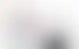 Blurred archive preview