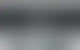 Blurred archive preview