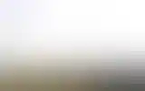 Blurred archive preview