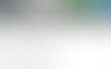 Blurred archive preview