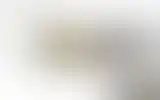 Blurred archive preview