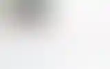 Blurred archive preview