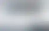 Blurred archive preview