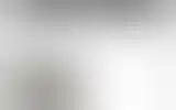 Blurred archive preview